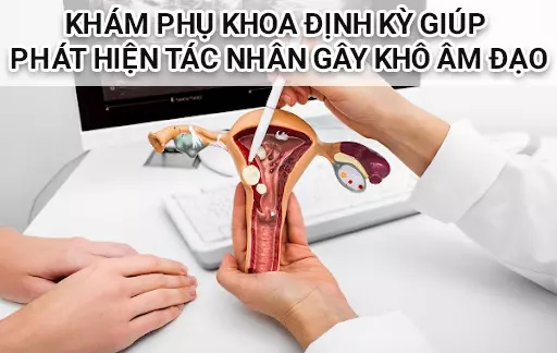 Kham-phu-khoa-dinh-ky-giup-phat-hien-va-dieu-tri-som-nhung-tac-nhan-gay-kho-am-dao